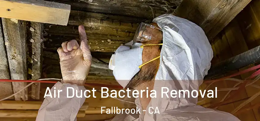  Air Duct Bacteria Removal Fallbrook - CA