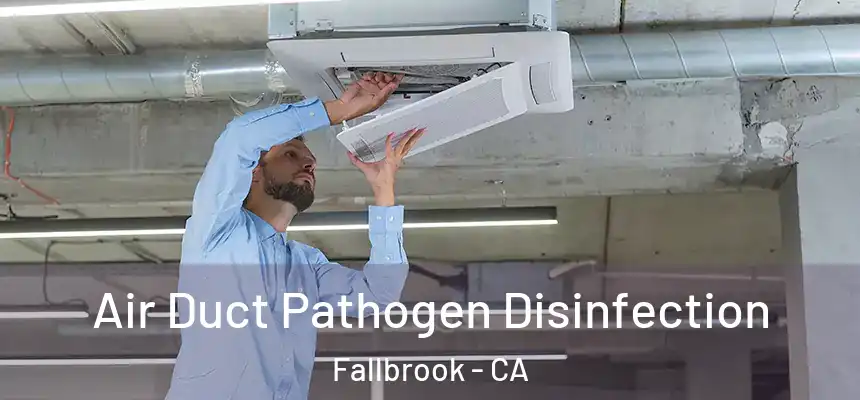  Air Duct Pathogen Disinfection Fallbrook - CA