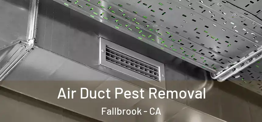 Air Duct Pest Removal Fallbrook - CA