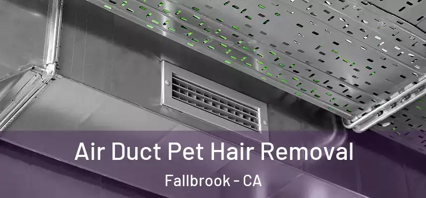 Air Duct Pet Hair Removal Fallbrook - CA