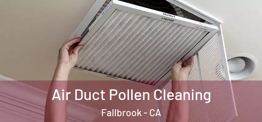  Air Duct Pollen Cleaning Fallbrook - CA