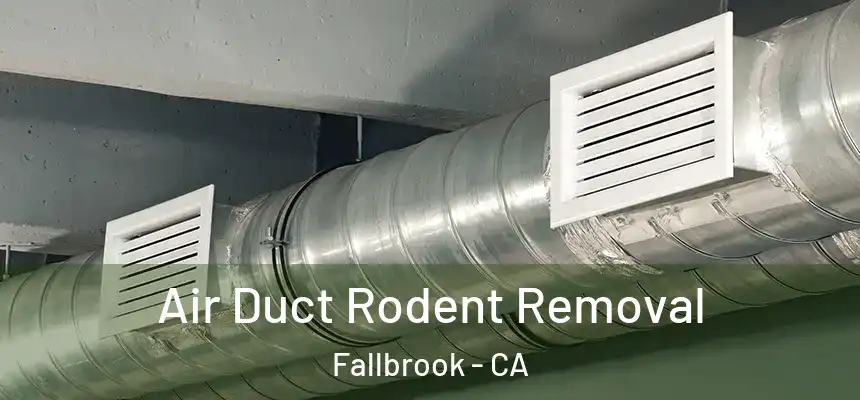 Air Duct Rodent Removal Fallbrook - CA
