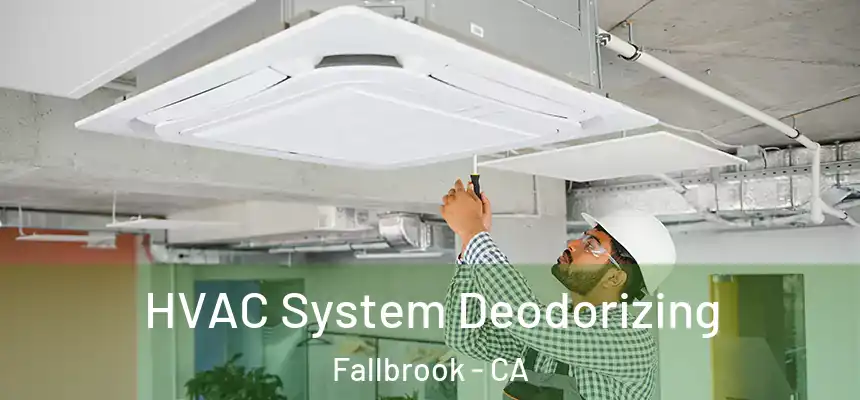  HVAC System Deodorizing Fallbrook - CA