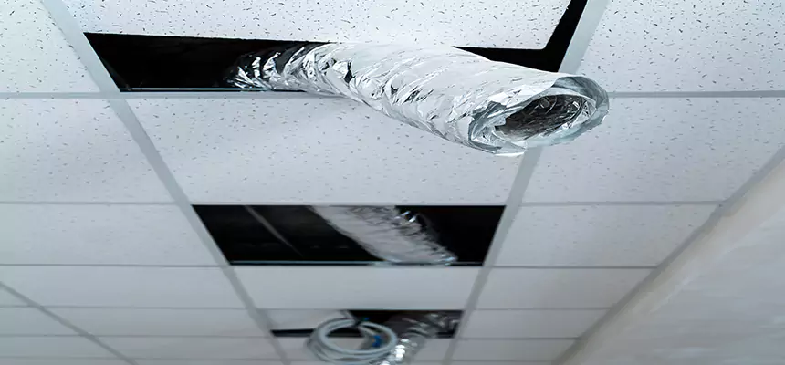 Our Air Duct Pet Hair Removal Services in Fallbrook, CA