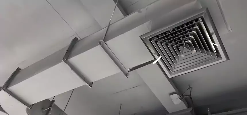 Restorative Allergy Relief Vent Cleaning – Coil, Blower & Housing Detail in Fallbrook