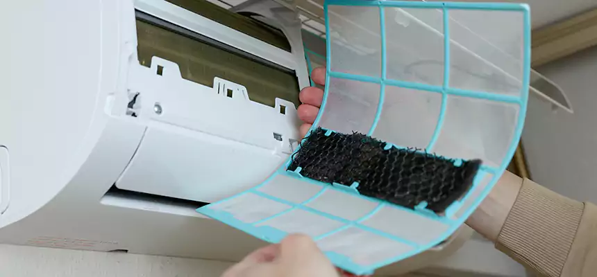 Gentle Ductwork Odor-Control Pet Dander Duct Cleaning in Fallbrook, CA