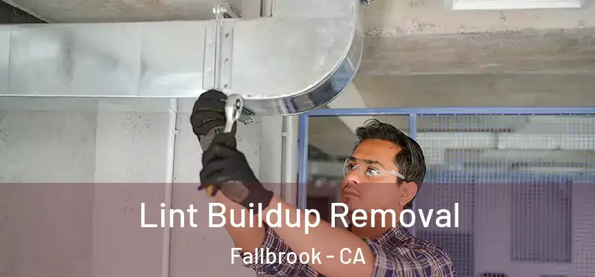 Lint Buildup Removal Fallbrook - CA