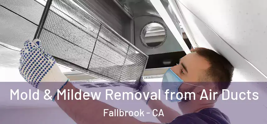  Mold & Mildew Removal from Air Ducts Fallbrook - CA