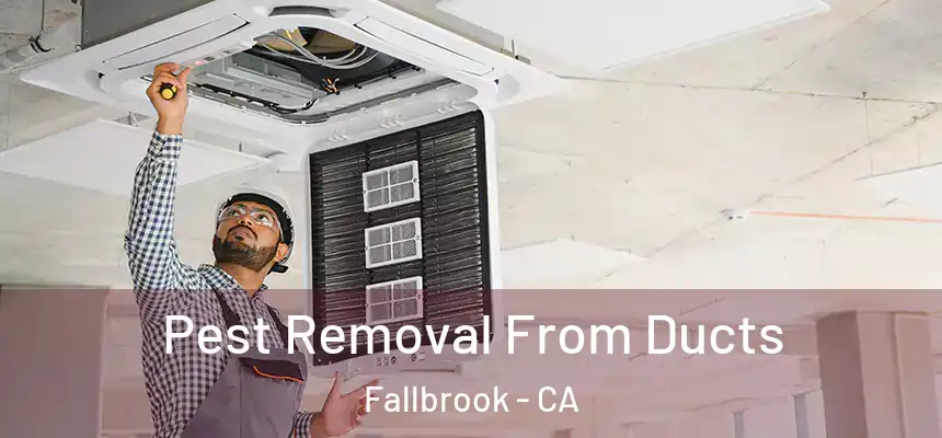  Pest Removal From Ducts Fallbrook - CA