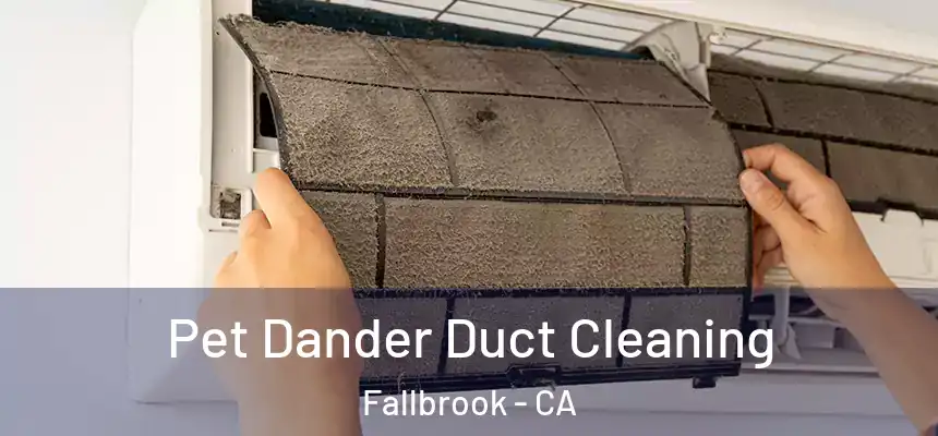 Pet Dander Duct Cleaning Fallbrook - CA