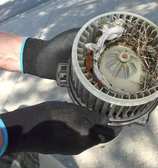 About Air Duct Mice Removal in Fallbrook, CA