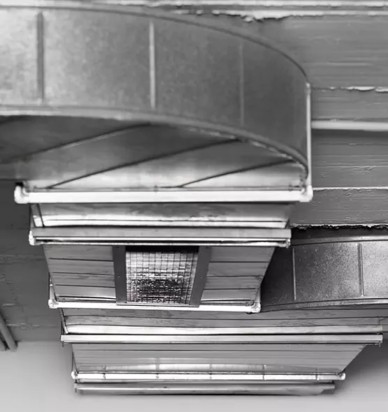 Professional Air Duct Pest Removal in Fallbrook, CA