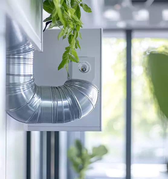 Professional Eco-Friendly Duct Cleaning Services in Fallbrook, CA