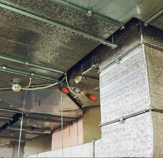 Why Homeowners & Businesses Trust Us Fallbrook, CA?